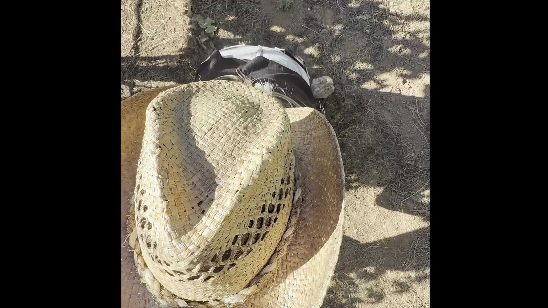 Had to suck his cock on our wine tasting trip... - free porn video