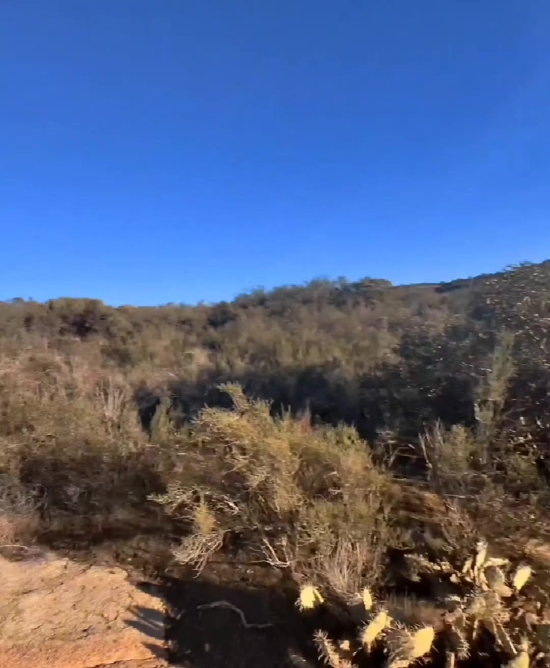 Going on a walk with me has some serious benefits - free porn video