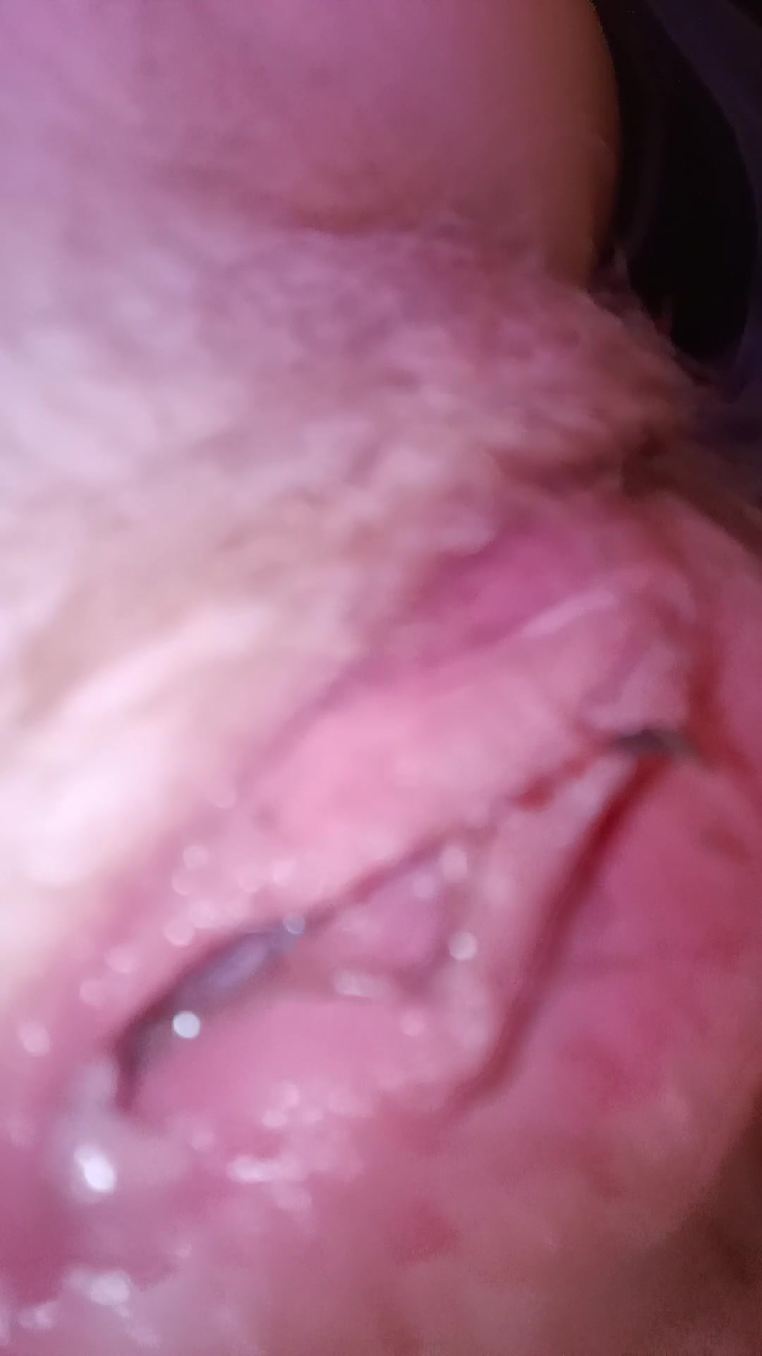 Kissable pussy - free porn video