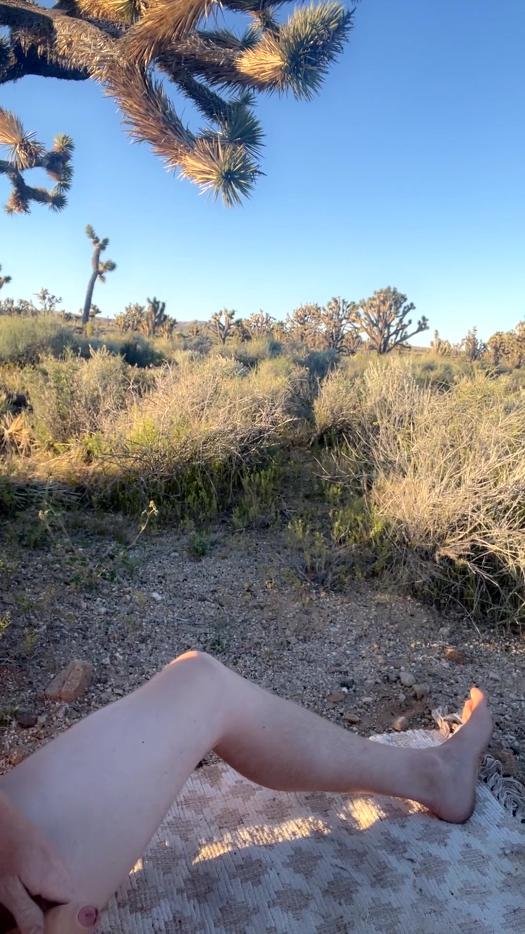 Joshua tree was very hot today - free porn video