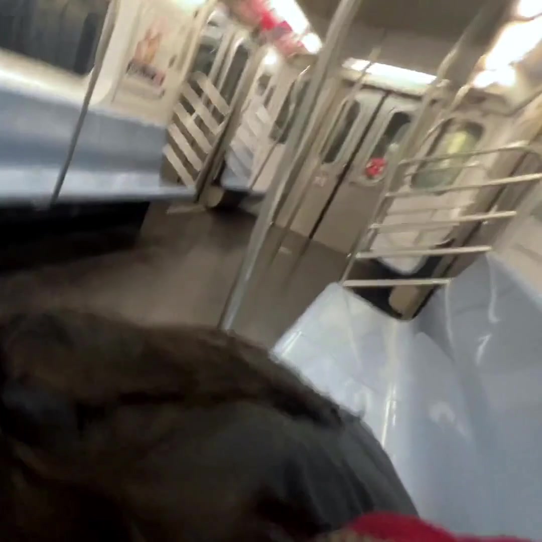 MADE HIM CUM ON NYC SUBWAY - free porn video