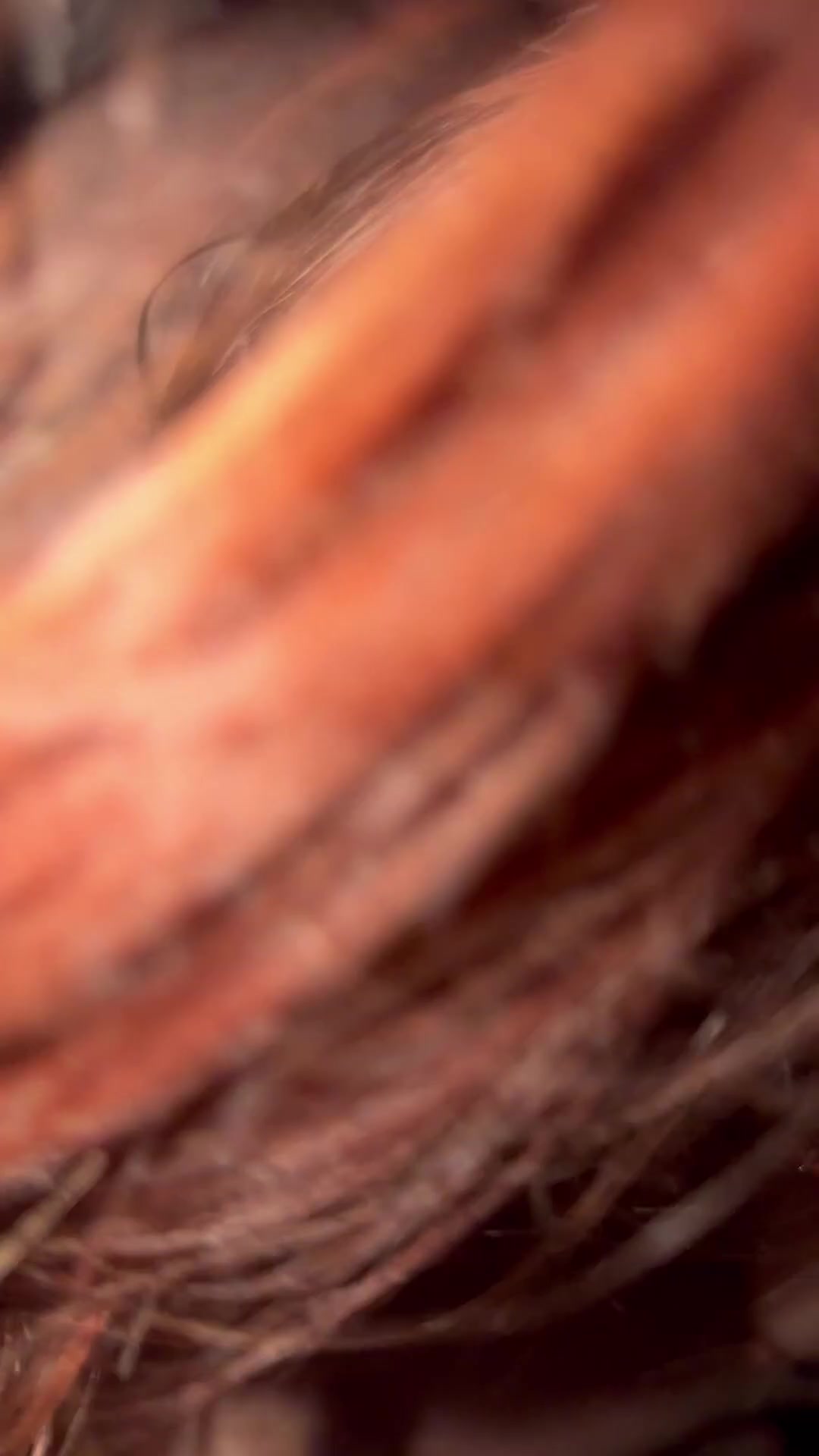 She deserves bigger - free porn video