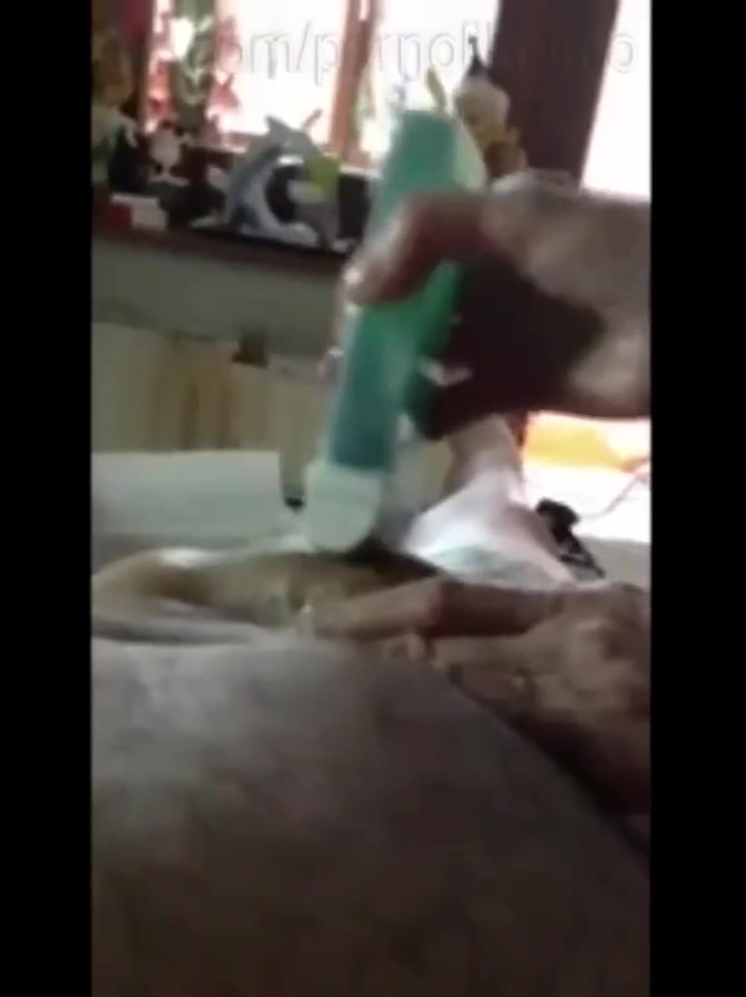 He accidentally ejaculated during the waxing session, and the waxer tries to salvage the client's pleasure. - free porn video