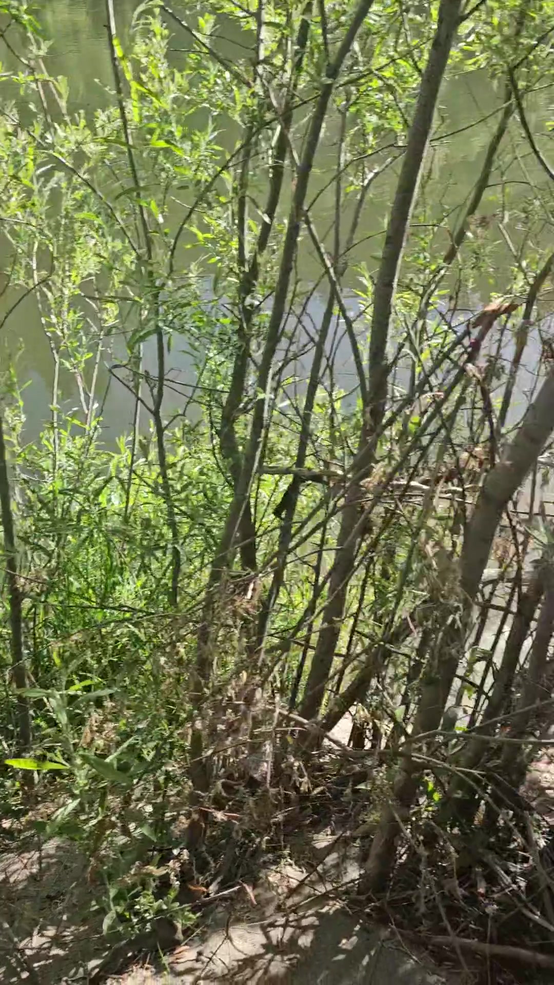 Gettting to play outside is so much fun - free porn video
