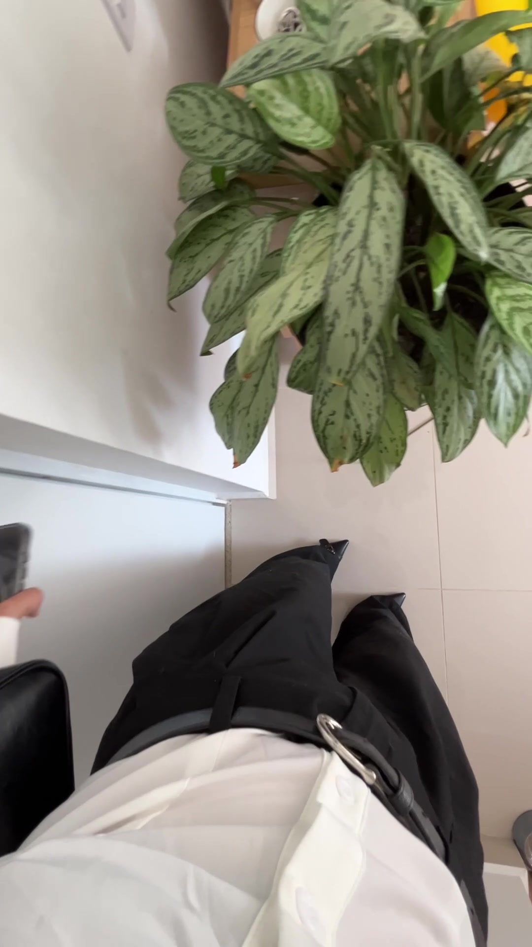 Me as soon as I arrive home, wait till the end - free porn video