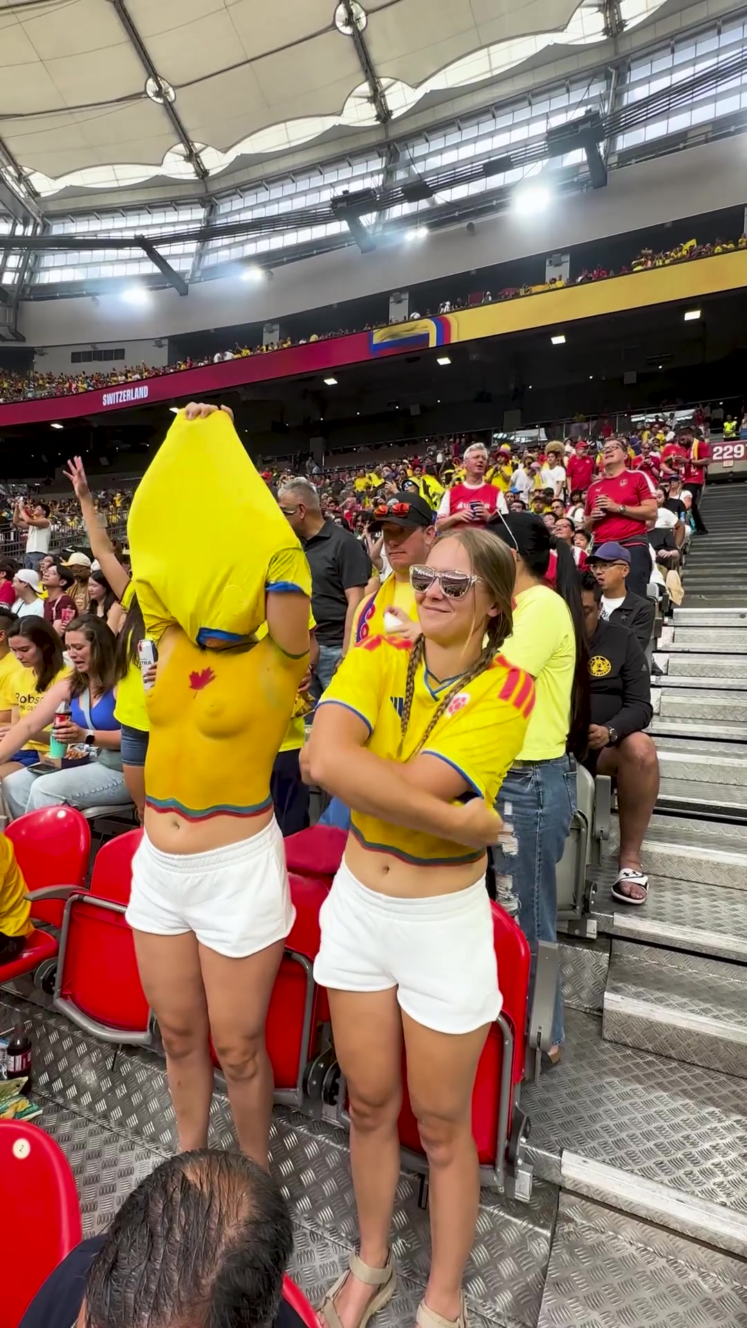 Gotta love those crazy football fans - free porn video