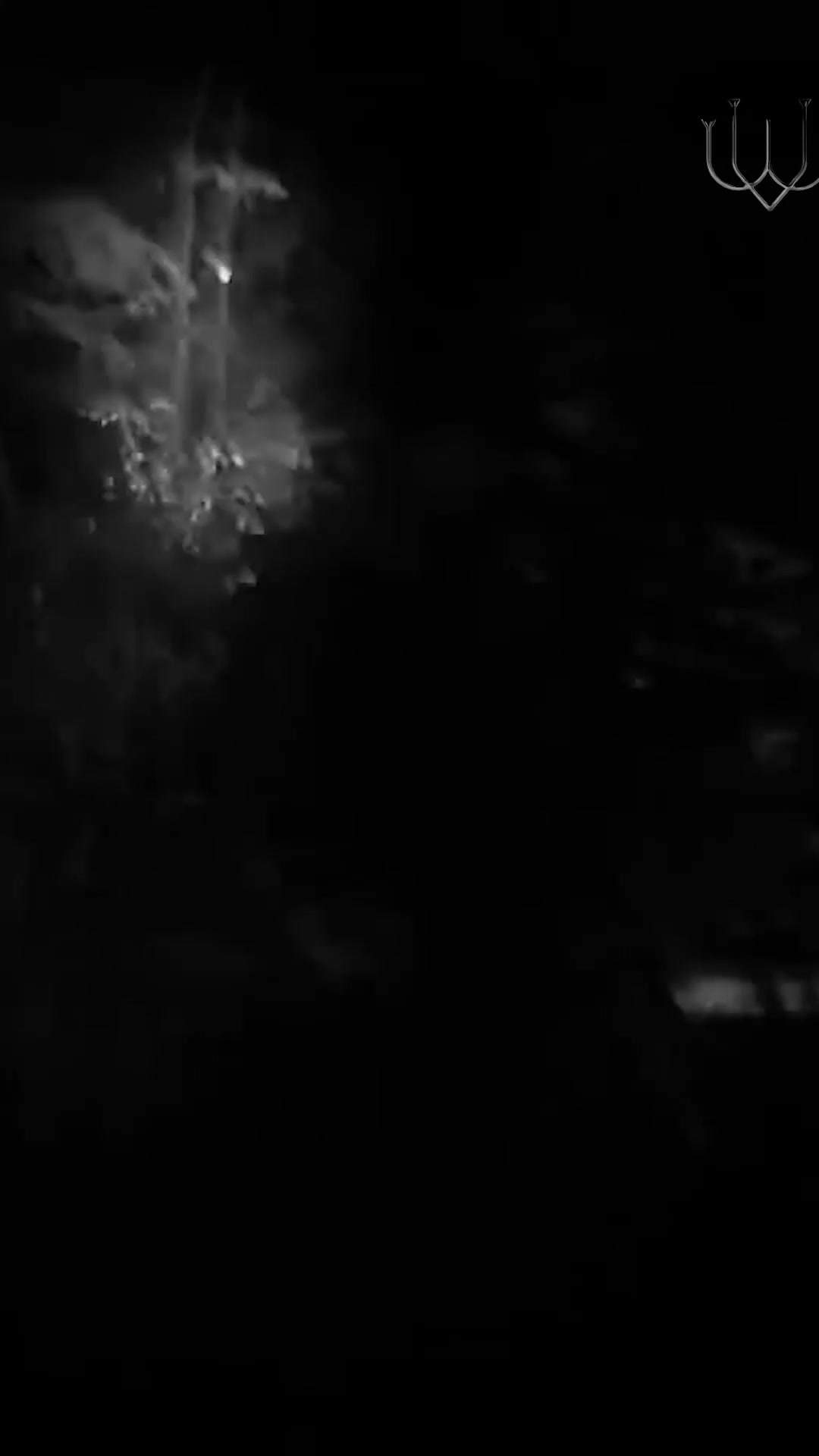 Werewolf Primal Daddy's BREEDING OBSESSION (Heavy Breeding Kink Audio) - free porn video