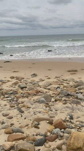 The views at this beach are pretty great [GIF] - free porn video