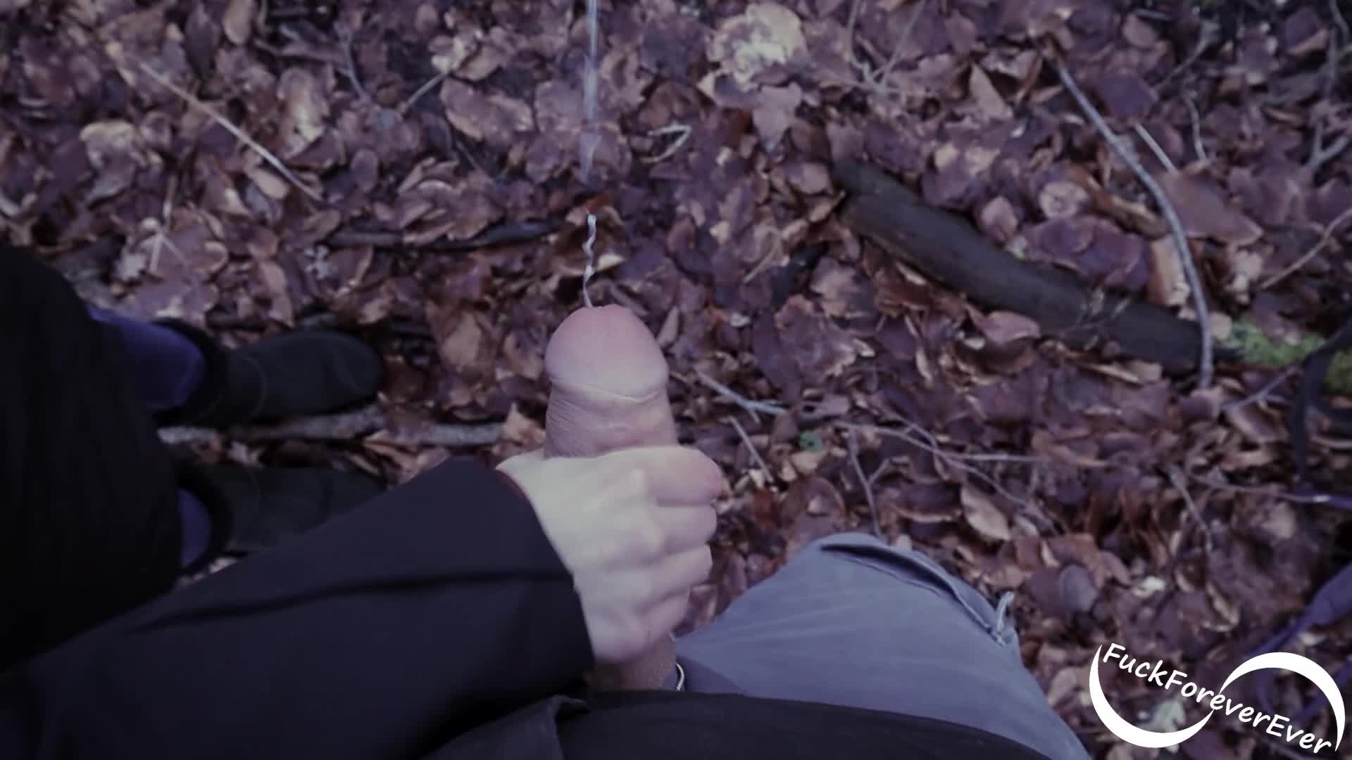 Quick handjob in the woods last winter - free porn video