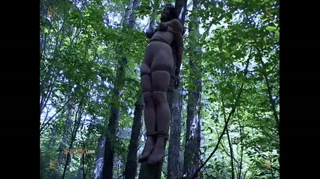 Two poor helpless teen girls restrained and tied to trees - free porn video