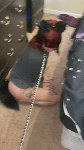 Phoenix (OC)-Petplay - free porn video