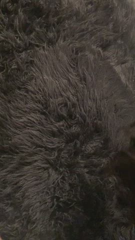 would you get me on the carpet? - free porn video