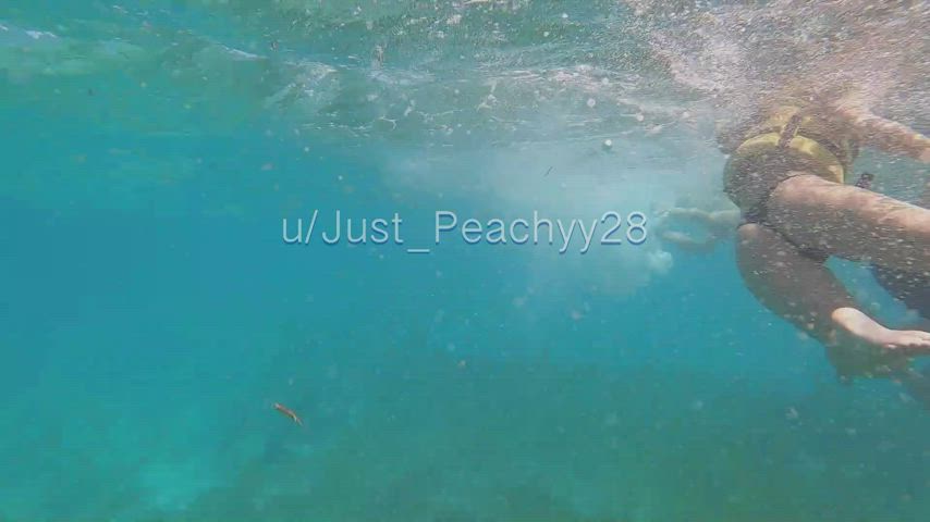 flashing my pussy in the water, they had no idea [GIF] - free porn video