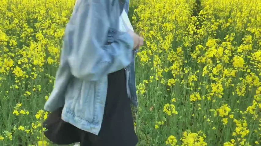 Flashing in a field of yellow flowers - free porn video