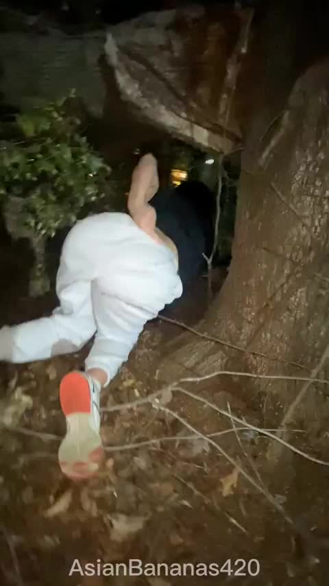 Oh no I'm stuck under this tree, I hope someone doesn't breed me 😉 - free porn video