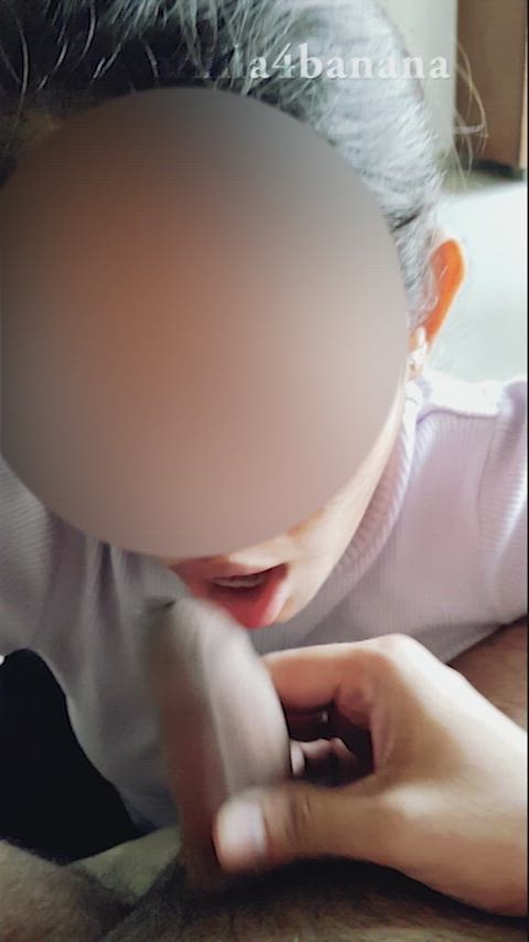 Worshipping his cock because I wanted blessings for my university exams - free porn video