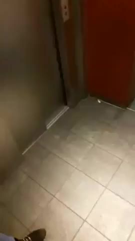 Quick elevator blowjob - free porn video