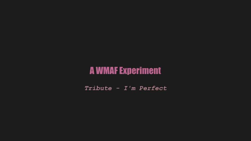 A wmaf experiment - Tribute - I'm Perfect (splitscreen PMV) - free porn video