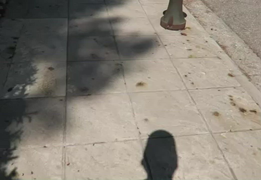 Hope the locals don’t mind seeing British girls flash on there streets [GIF] - free porn video