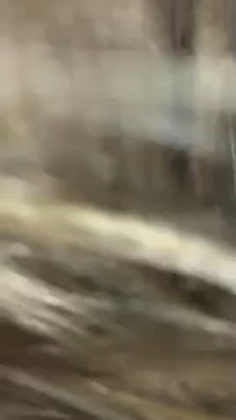 Amateur GIF by johnsniper - free porn video