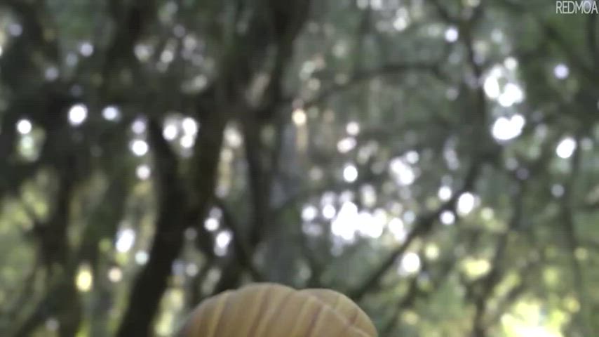 Tinkerbell tries to please human cock (Peter Pan) [Redmoa] - free porn video