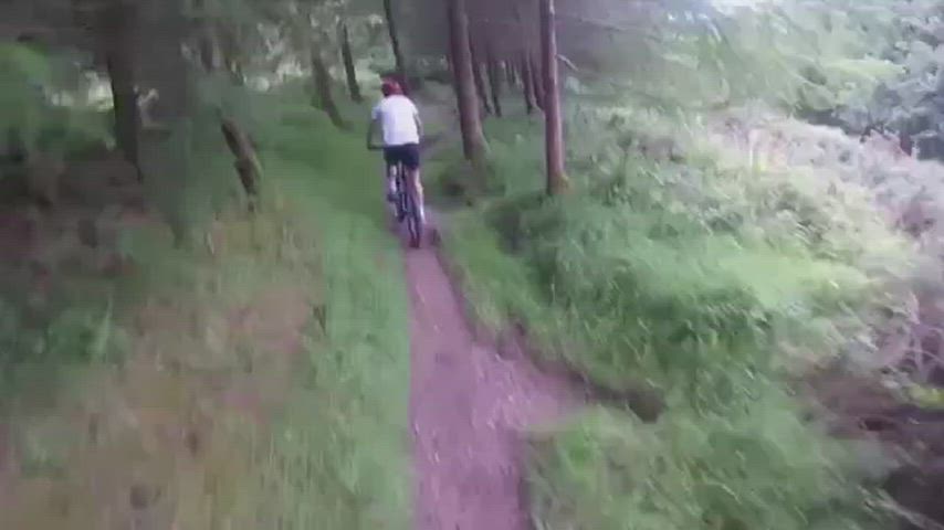 They are not the wild animals I wanted to find in the mountain - free porn video