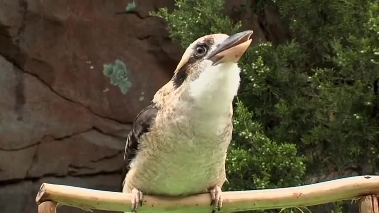 Turn on the sound - free porn video