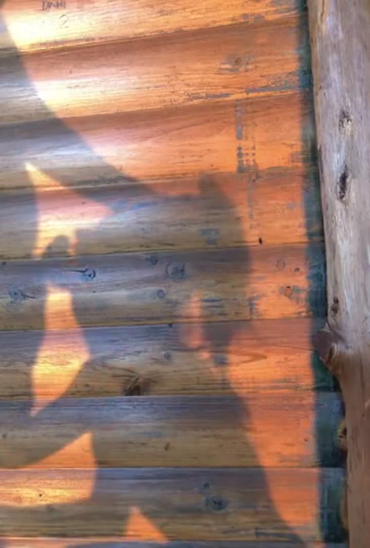 For the imagination 😈 🌺, Sound ON 🔊 - free porn video