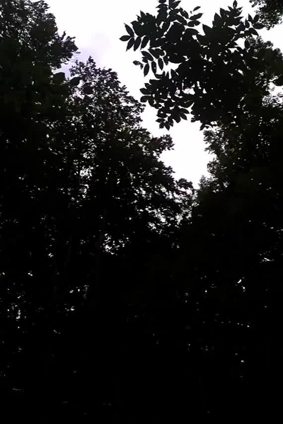 I made him cum on the forest, rubbed it over my boobs and let it dry :3 - free porn video