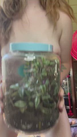 one of my favorite terrariums i’ve made (: - free porn video