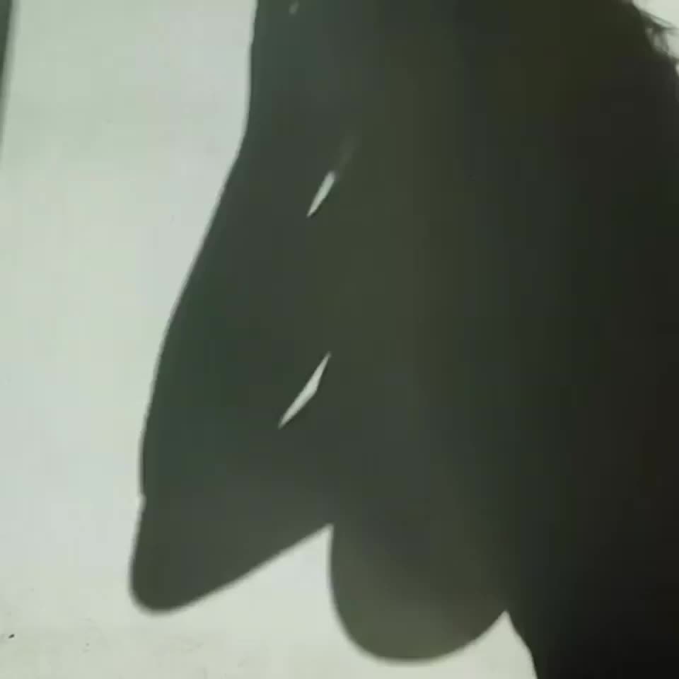 Shadow Play - free porn video