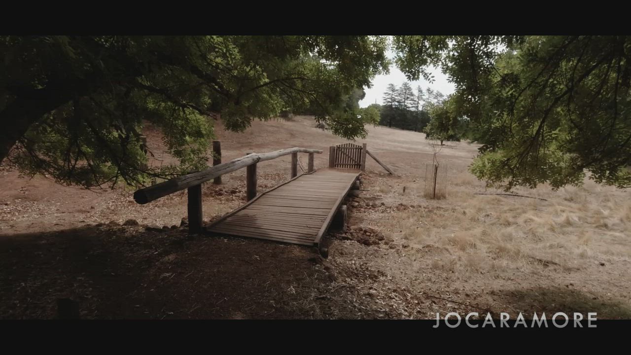 Giving a blowjob in the public park. Lucky for us it wasn't busy... - free porn video
