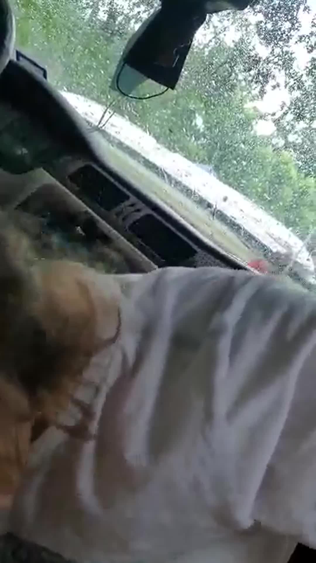 Amateur GIF by asmodius57 - free porn video