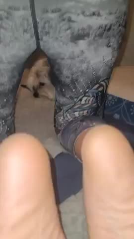 I got a feelin' that tonight's gonna be a good night. - free porn video