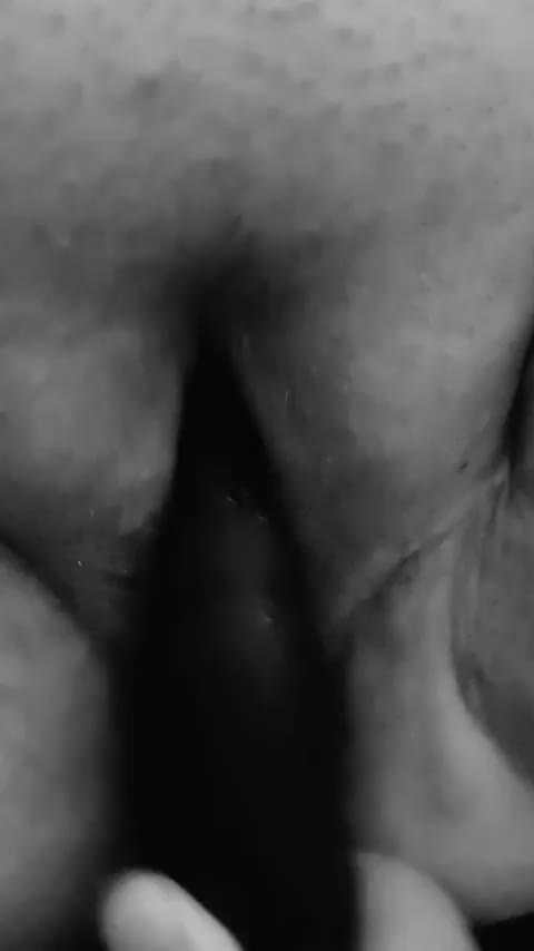 (OC) The rabbit is my favourite - free porn video