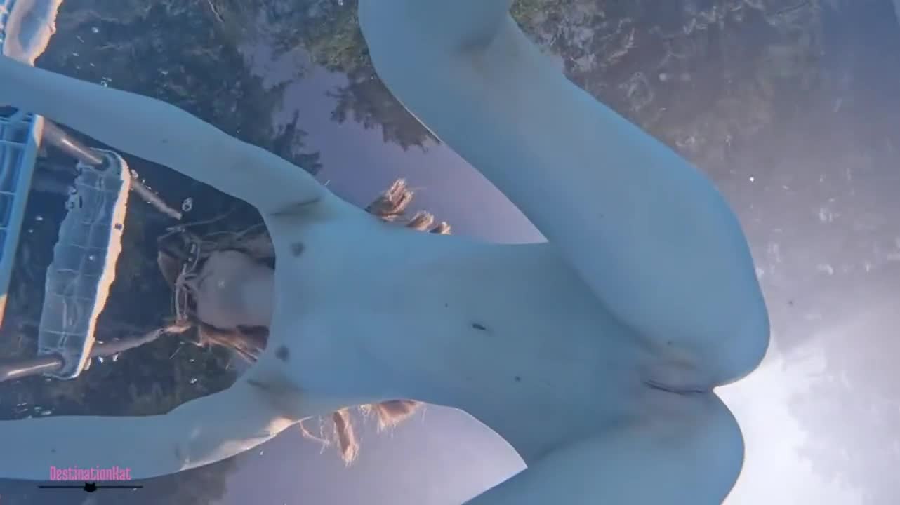 Pool relaxation - free porn video