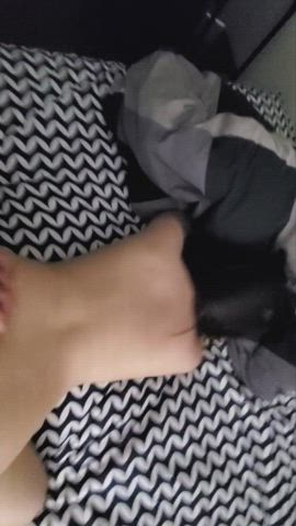 Doggy has to be the best, right? - free porn video