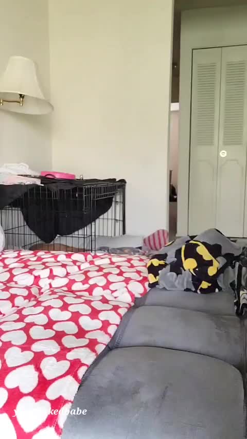 Whoa how did that happen - free porn video