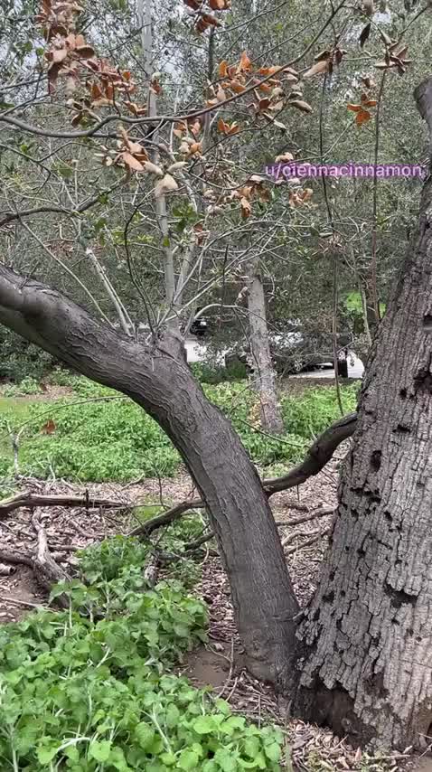 would you fuck me just off the trail where people might see? ;) - free porn video