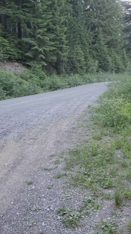 A car drove by this viewpoint for Mount Rainier right after the video, but they missed the real show!😜[GIF] - free porn video