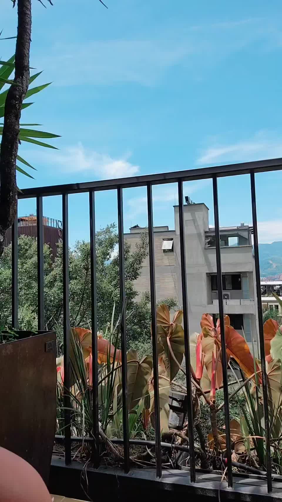 If you were my neighbor, how often you'd visit me? - free porn video