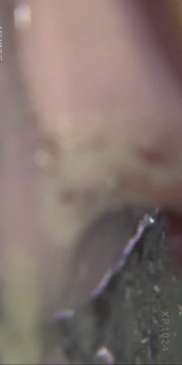 How any self respecting slut should be. - free porn video