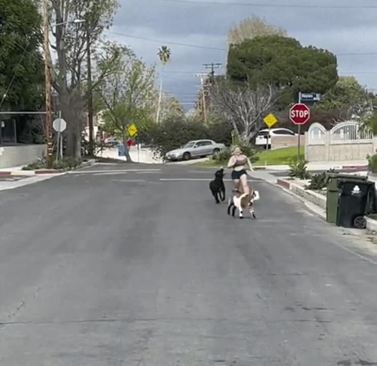 Neighborhood Watch Has It's Perks - free porn video