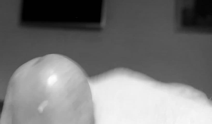 Cock GIF by primarymiserable - free porn video