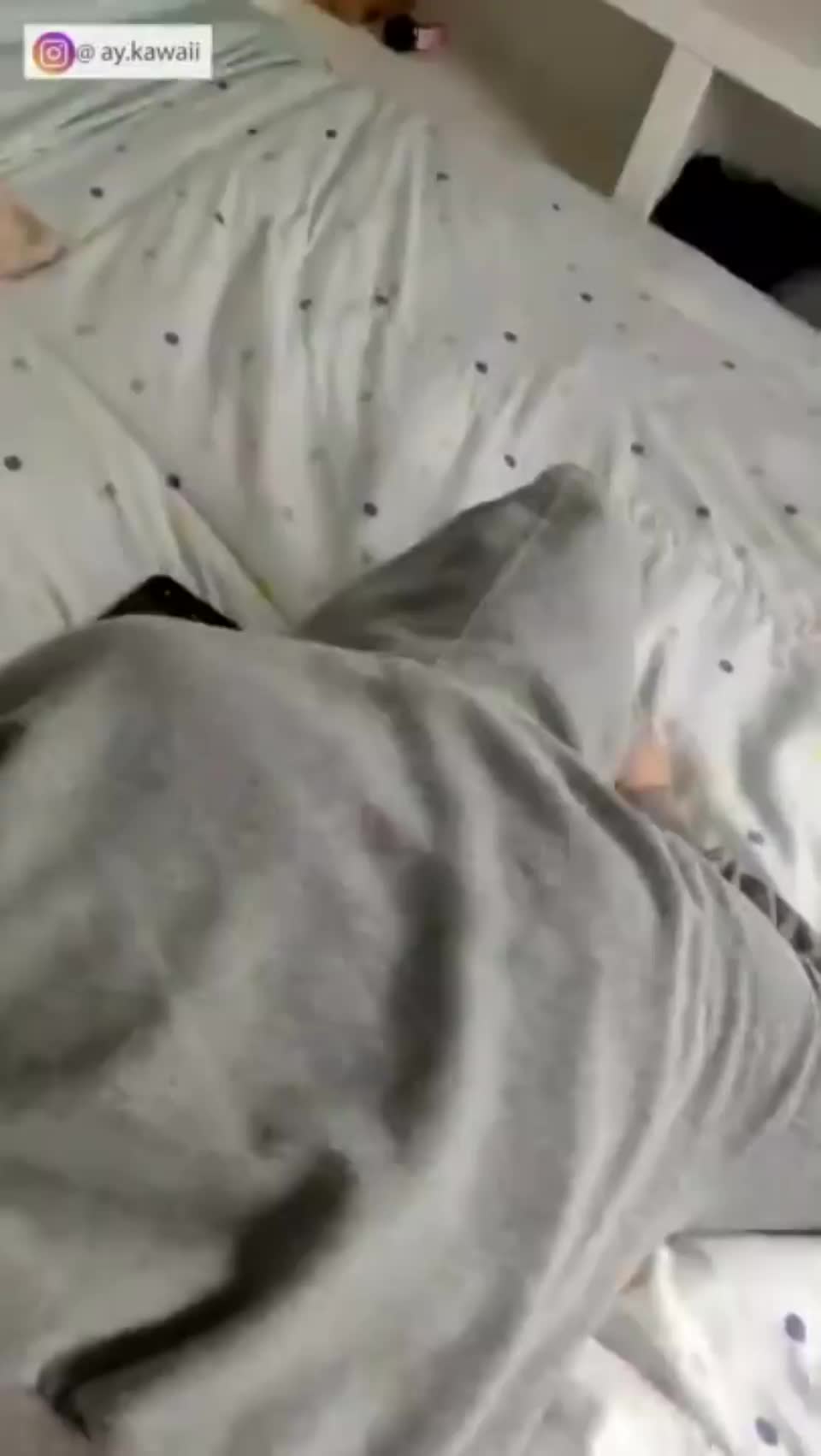 Girl Gets Fucked Up The Ass By Her Roommate While Crying And Moaning - free porn video