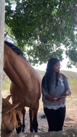 animals and people in arizona love my small boobs - free porn video