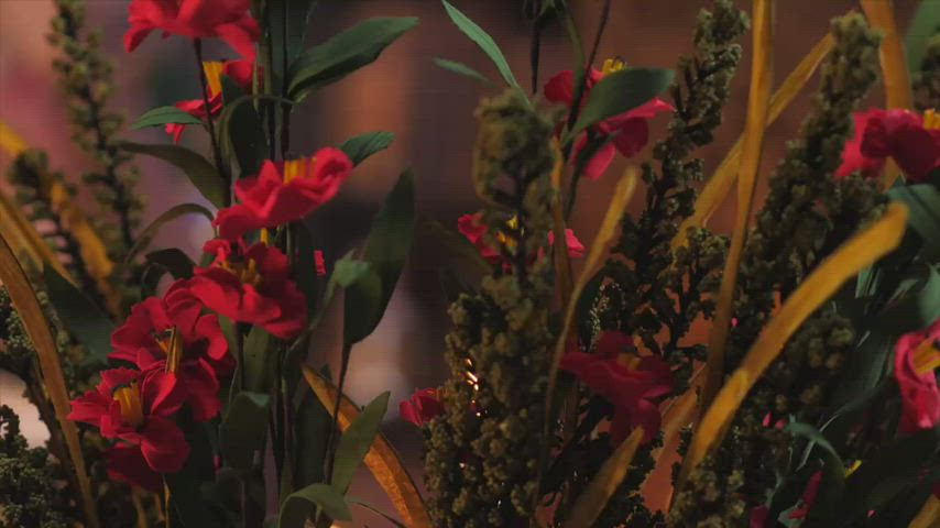 Triss (Purple Bitch)[the Witcher] - free porn video