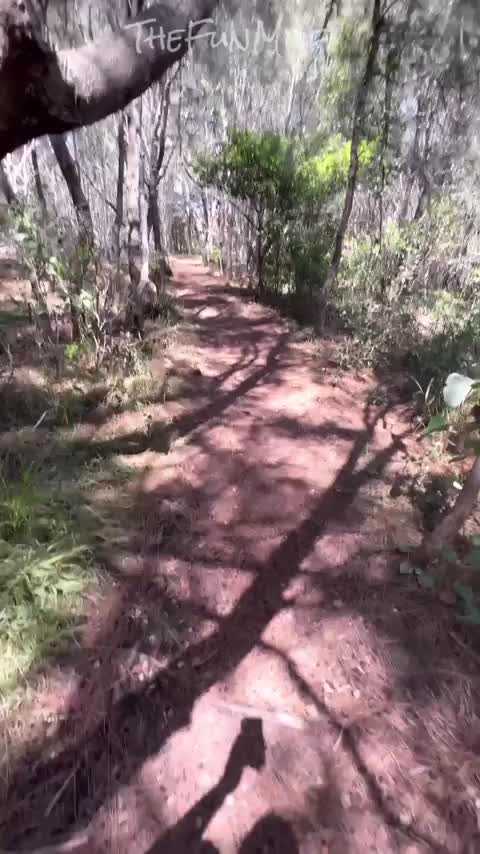 It won’t be the last time I do this in the hope of someone finding us on the trail! [GIF] - free porn video
