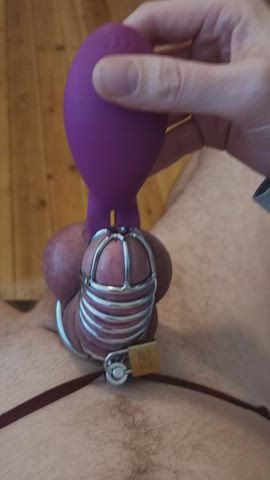 my little caged cock is shooting out of his prison, I call it ruined! - free porn video