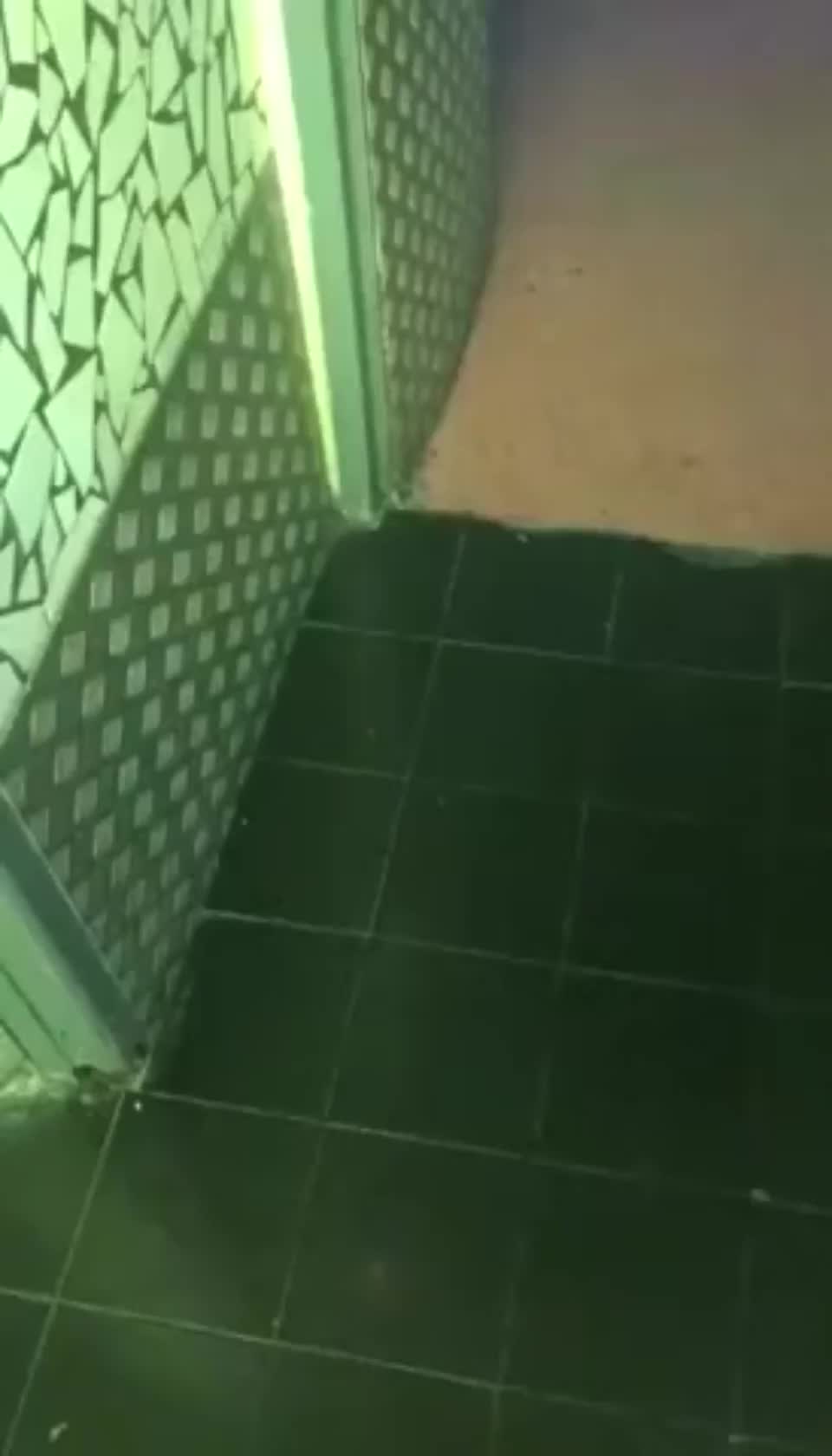 Two Girls At Toilet Have Fun Again - free porn video